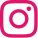 Ícone instagram